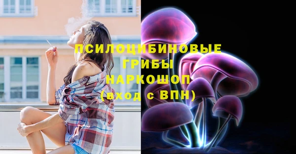 спиды Магадан