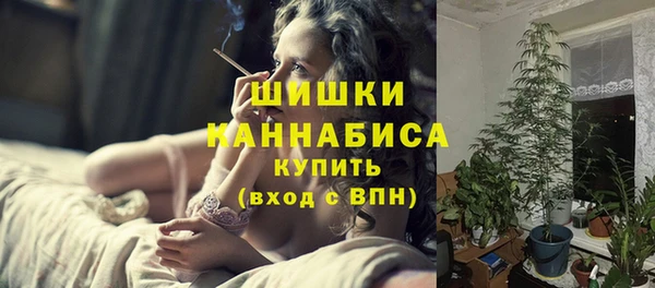 амф Магас