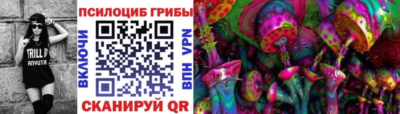 цены наркотик  Чишмы  mega маркетплейс  Галлюциногенные грибы Psilocybine cubensis 